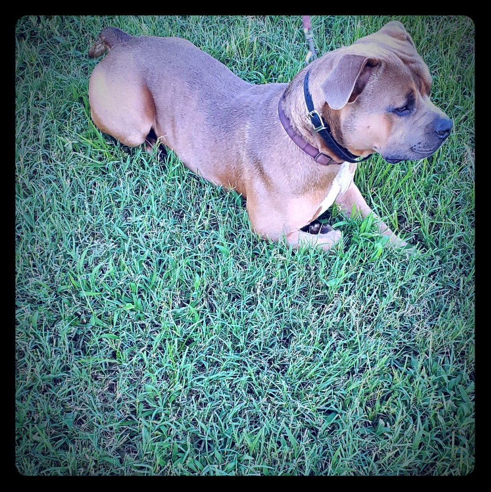 Meet your Posher, Yvonne